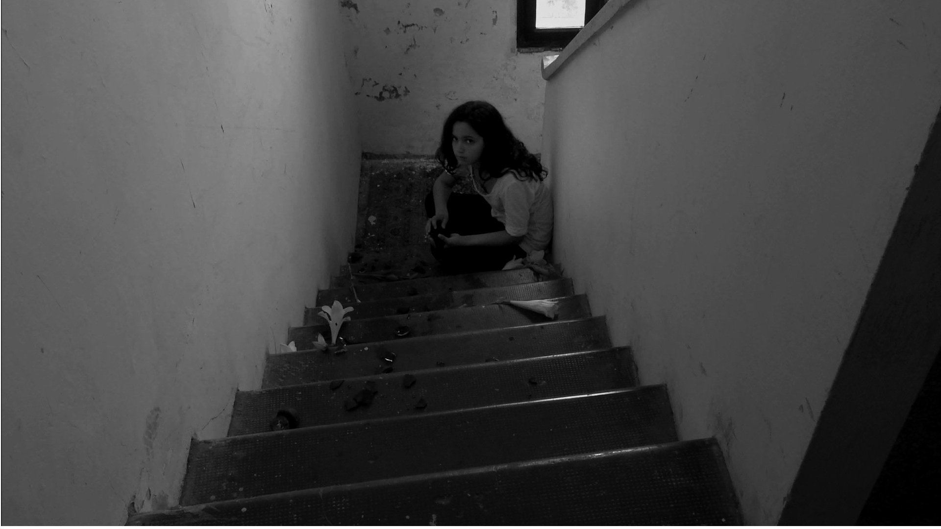 Dissolution (2010)