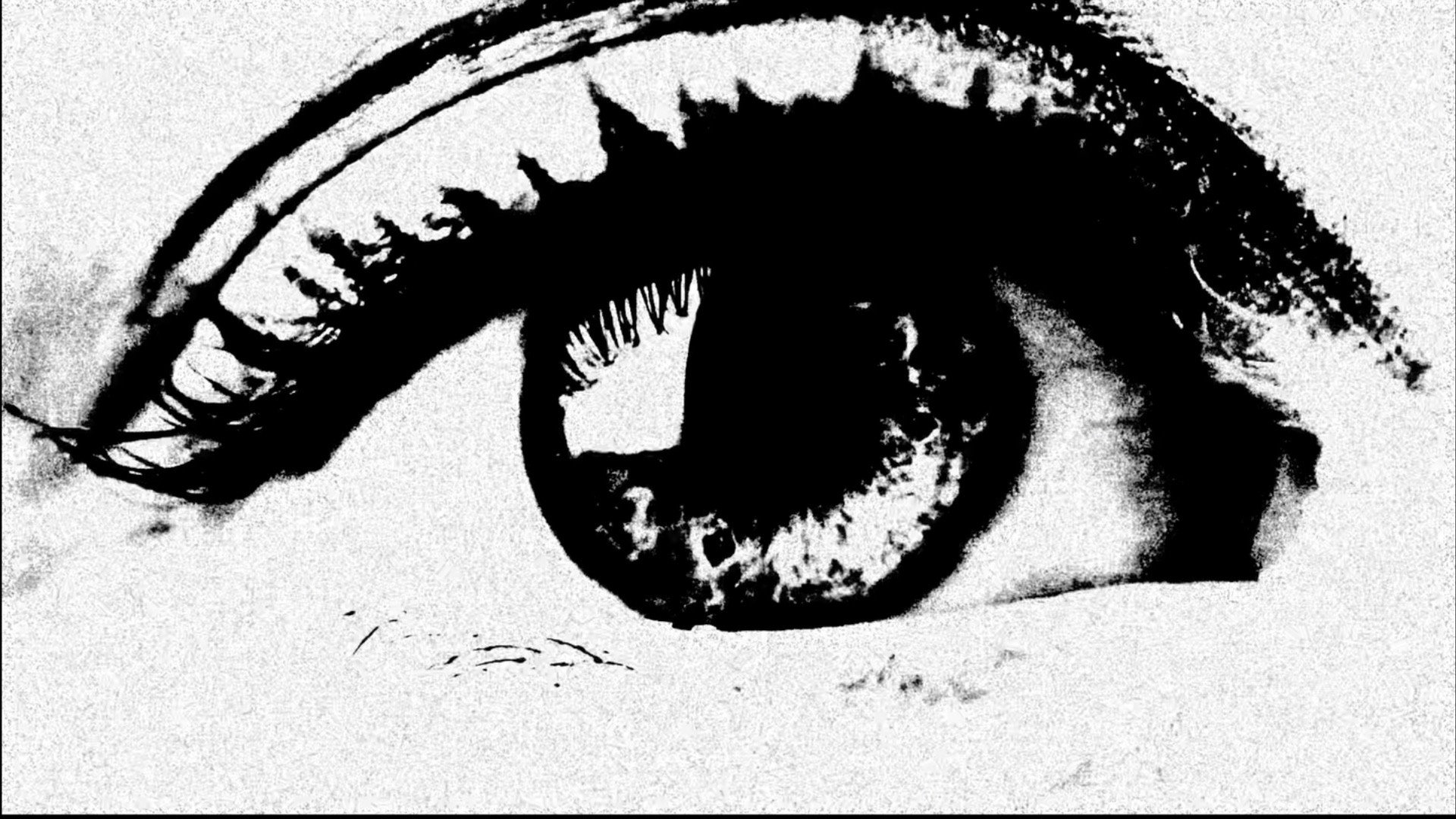 Purgatory for Epiphanea