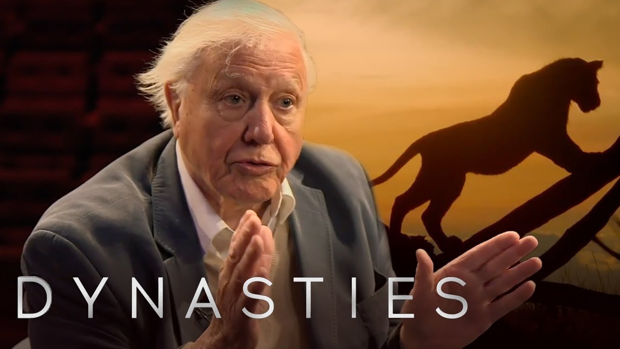 Thumbnail for David Attenborough On Dynasties Season 0 Episode 2