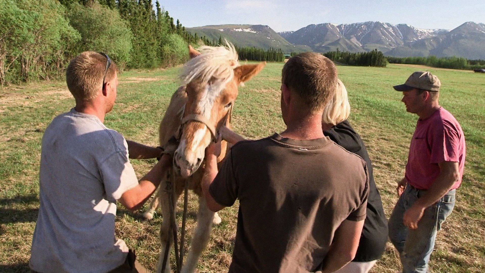 Dr. Dee: Alaska Vet - Épisode 10