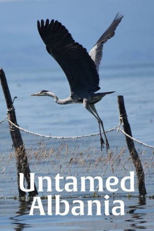 Untamed Albania