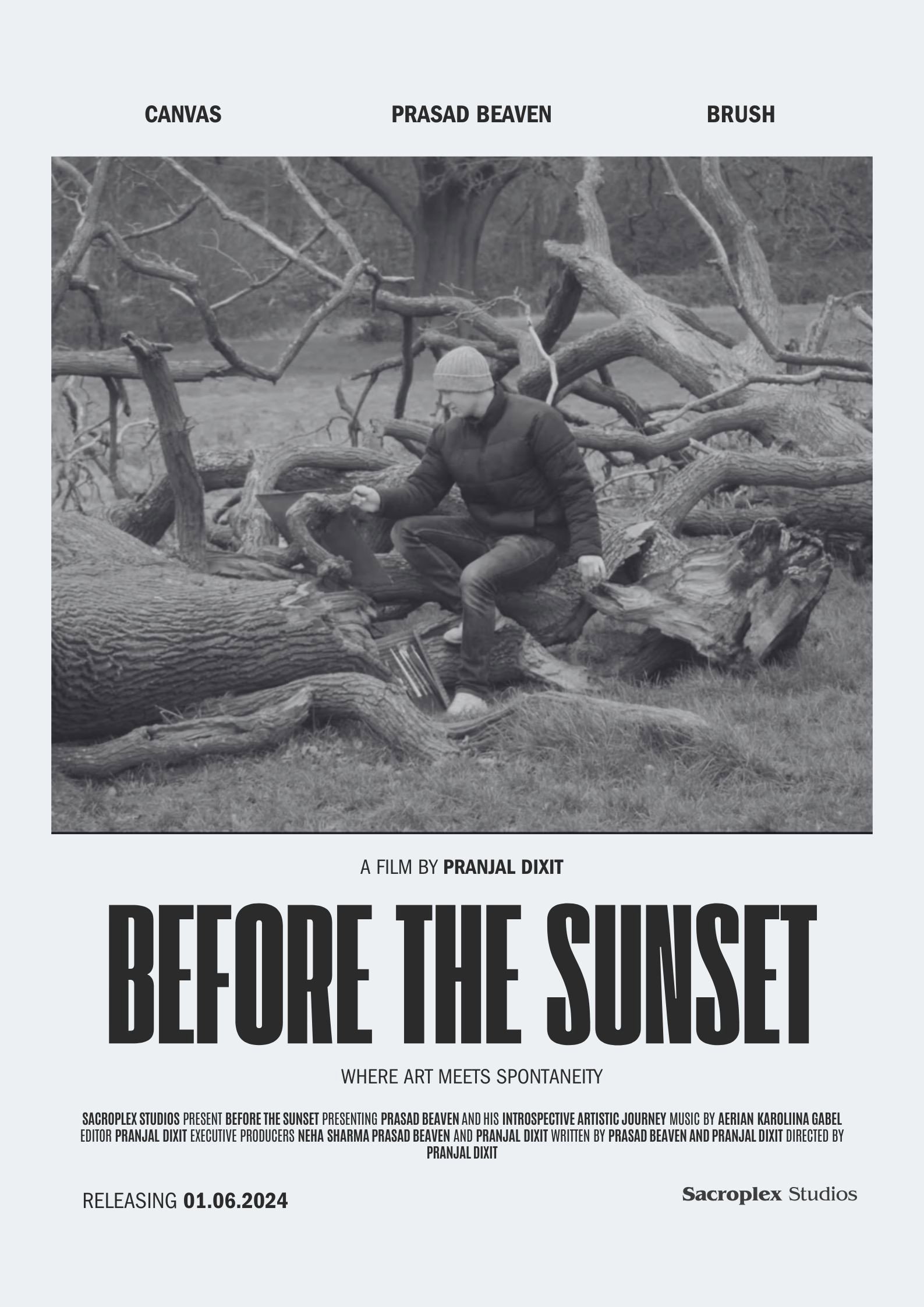 Before The Sunset