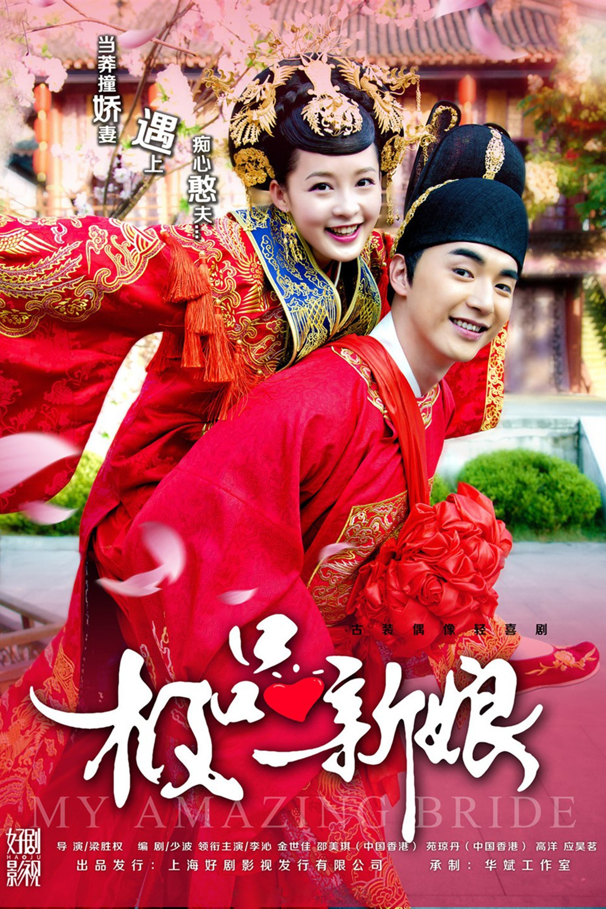 My Amazing Bride poster cover