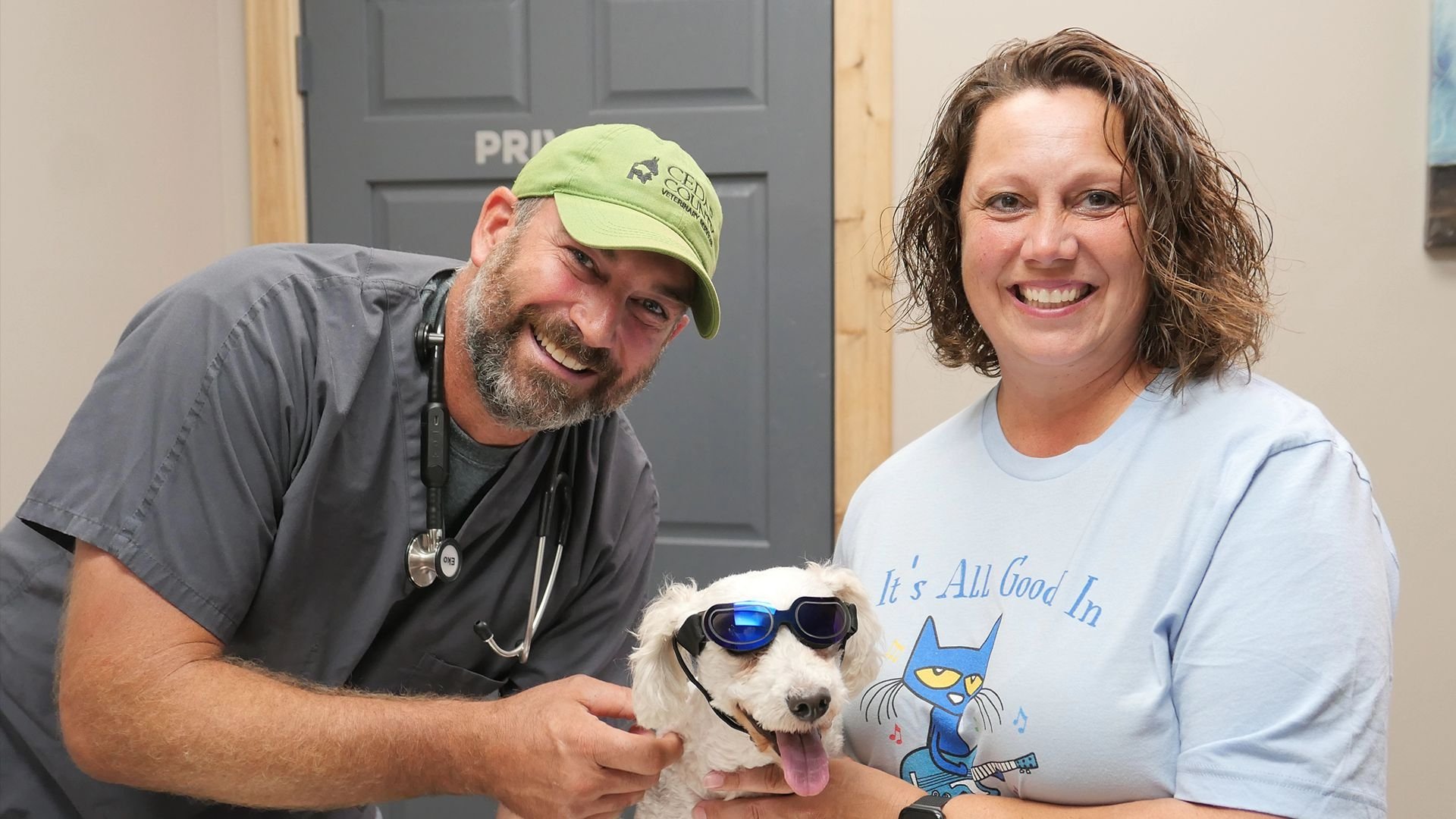 Heartland Docs, DVM