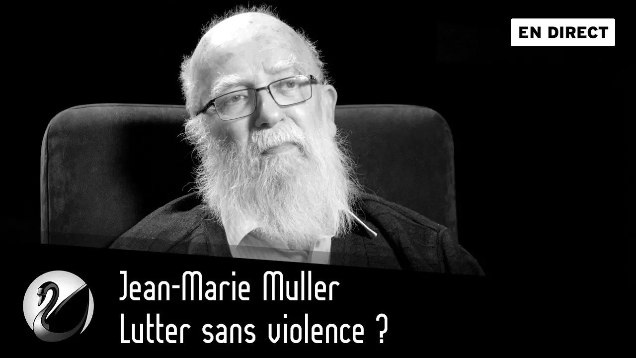 Thinkerview - Lutter sans violence ? Jean-Marie Muller