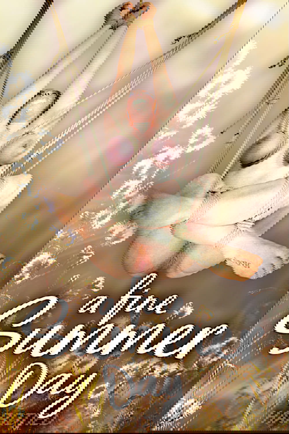 A fine Summer Day