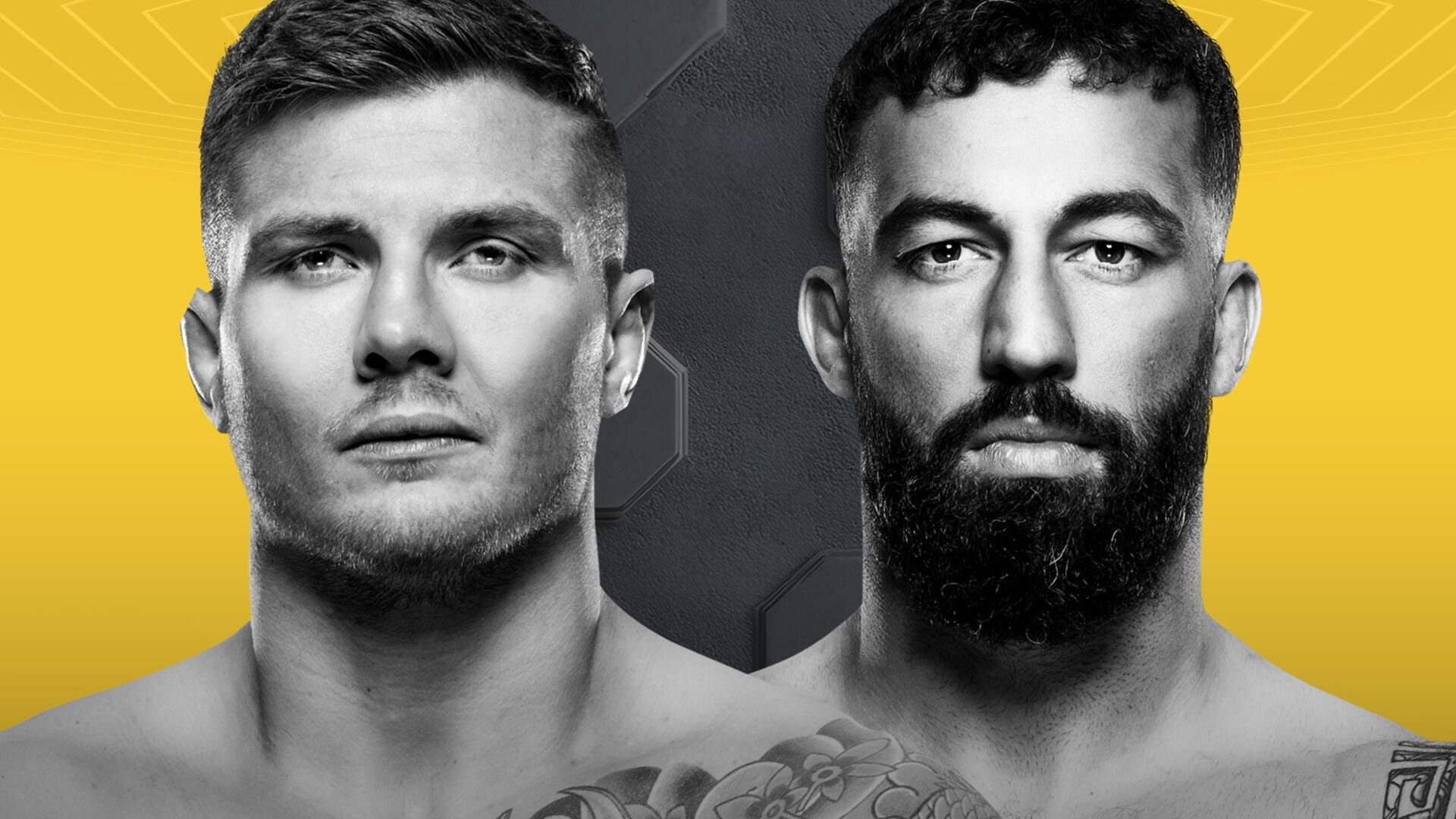 UFC Fight Night 254: Vettori vs. Dolidze 2 (2025)