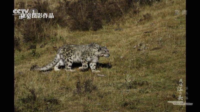 Thumbnail for Episode 5 Season 1 Episode 5