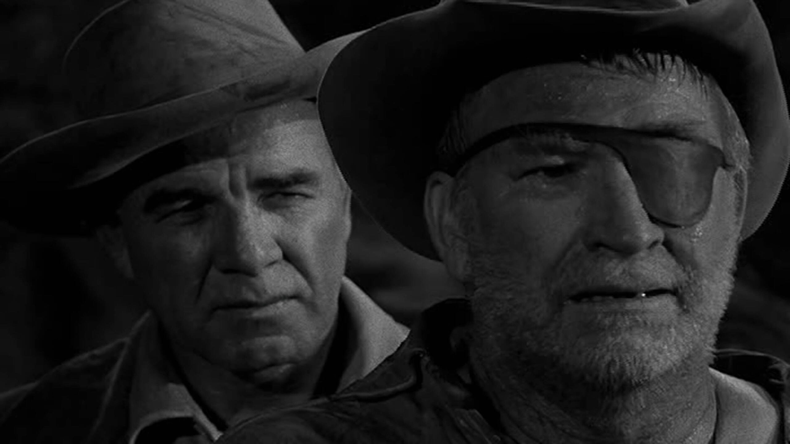 Wagon Train