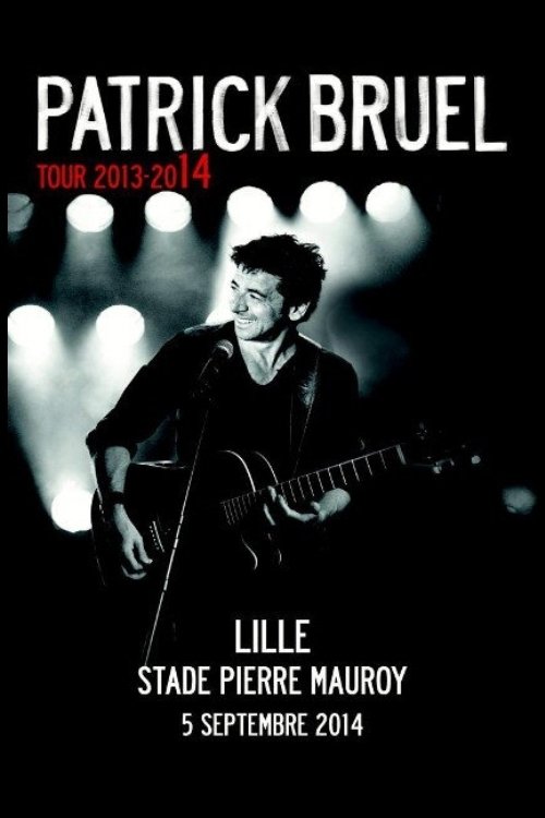 Patrick Bruel Live Zenith de Lille