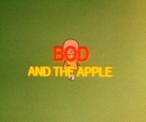 Bod