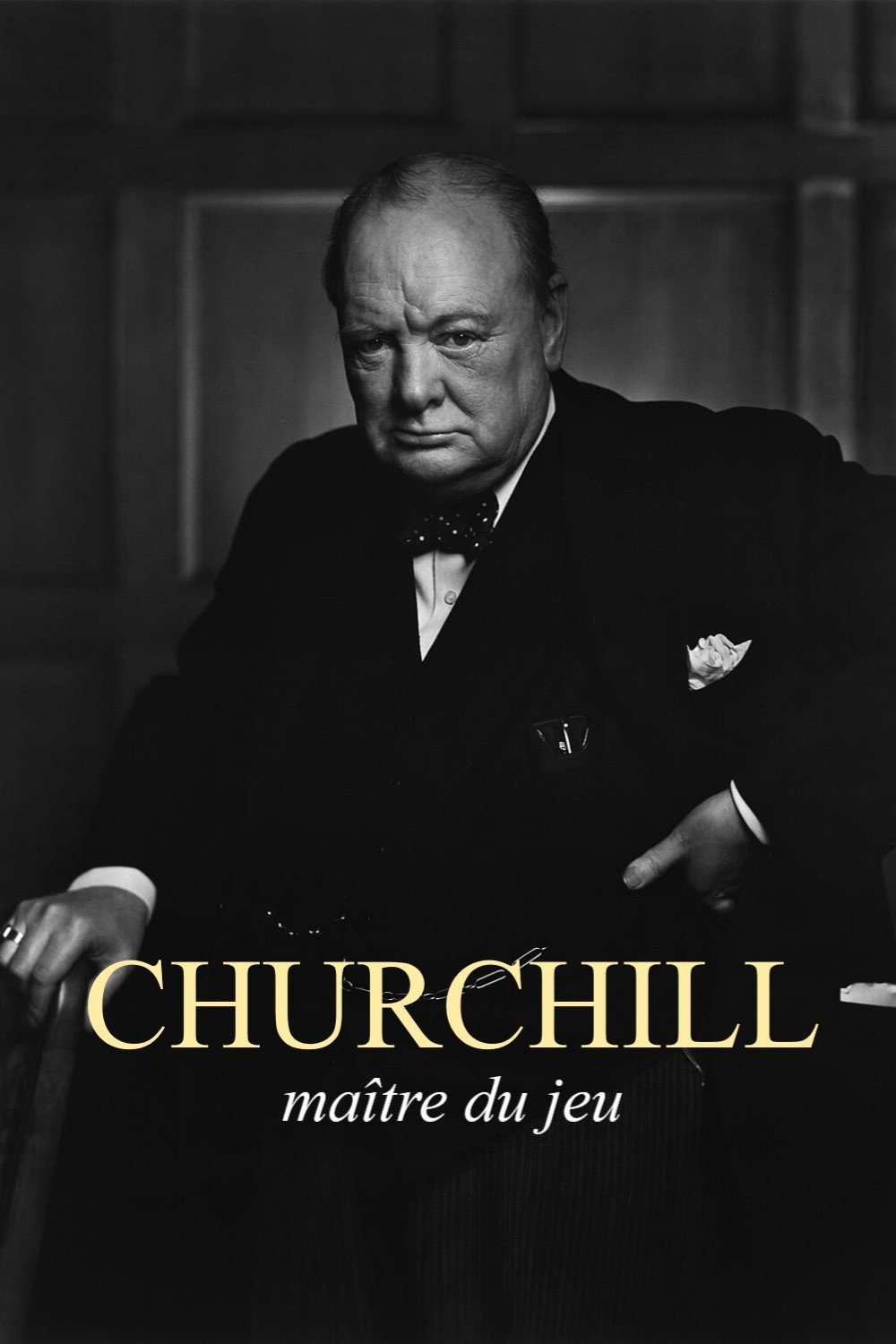 Movie image of : Churchill, maître du jeu