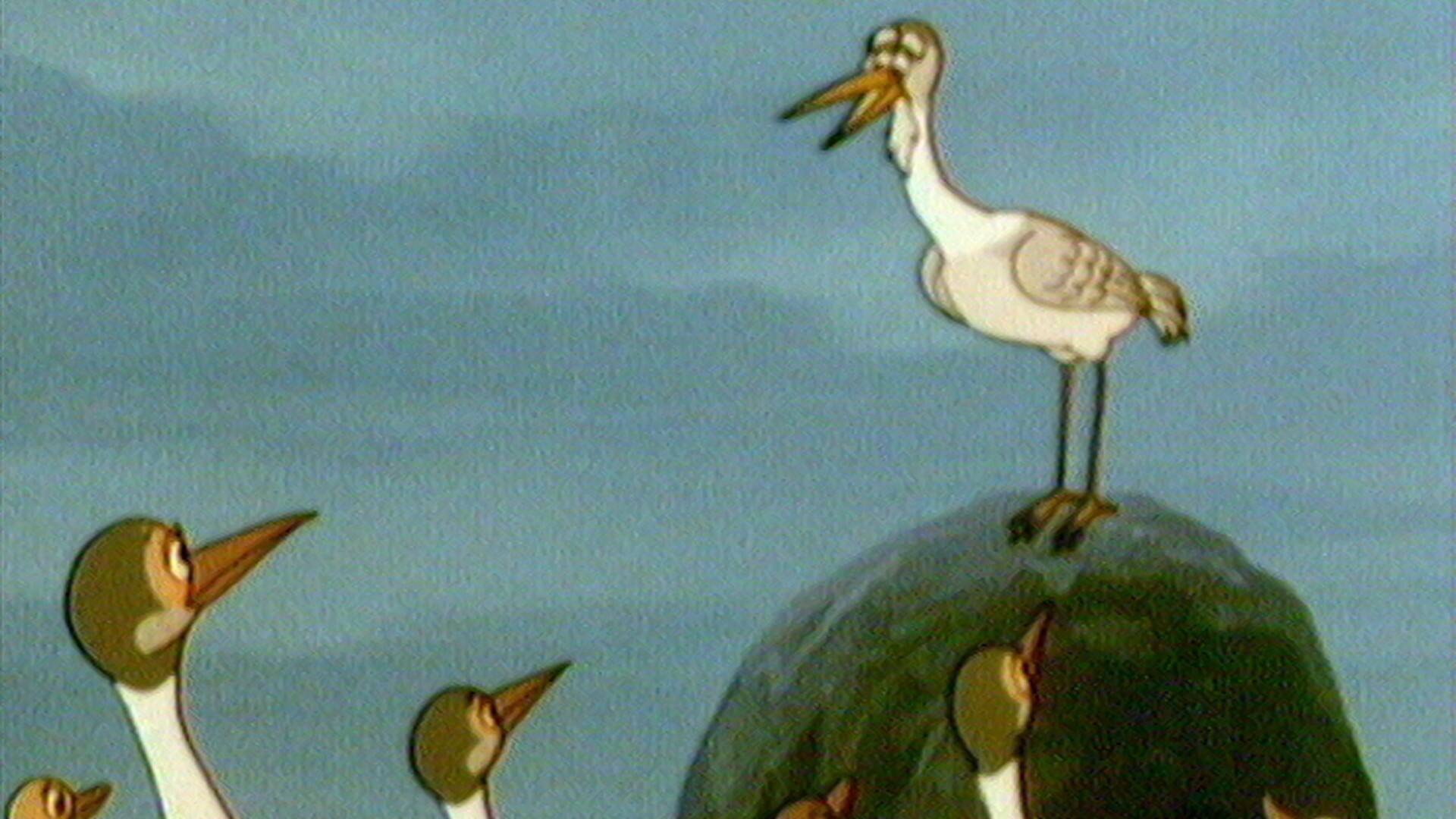 Taotao