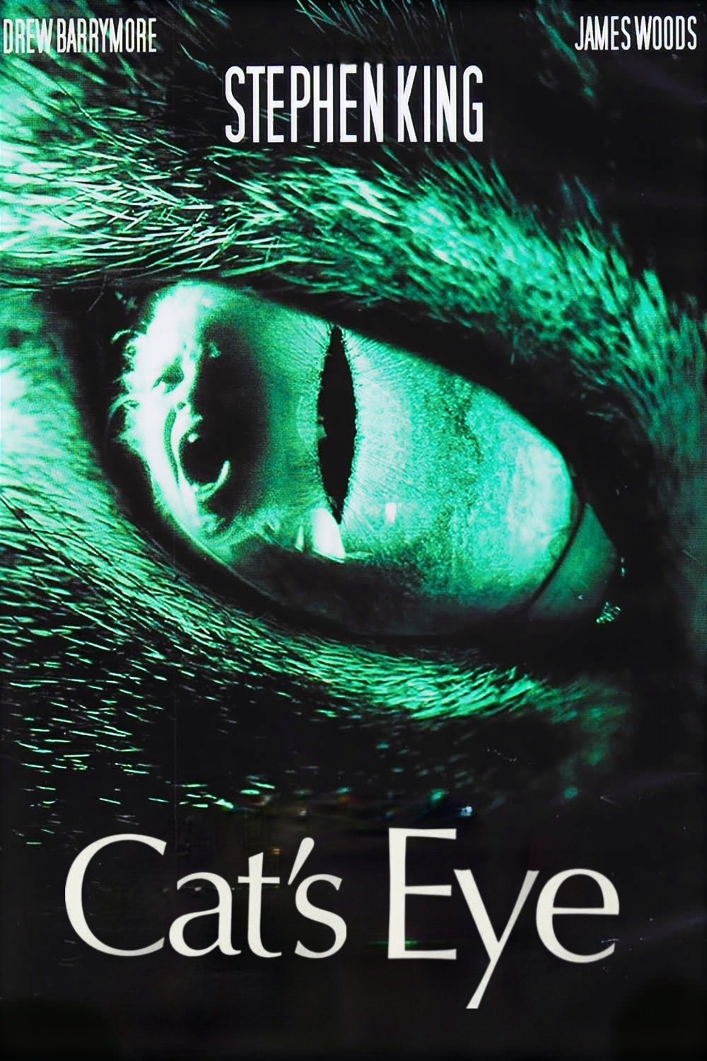 Cat's Eye