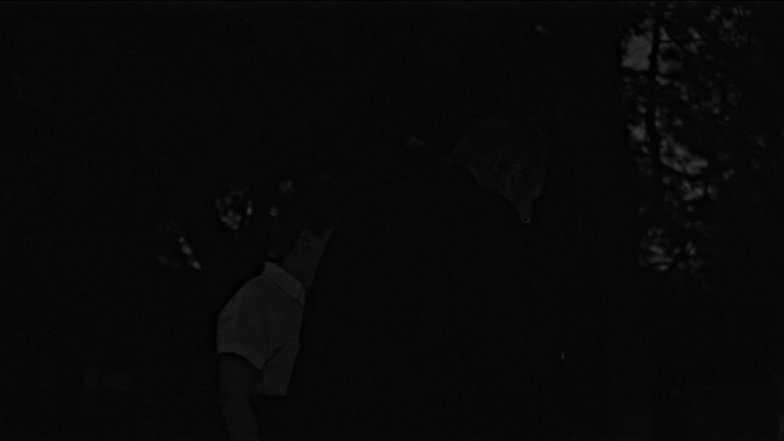 Image 43