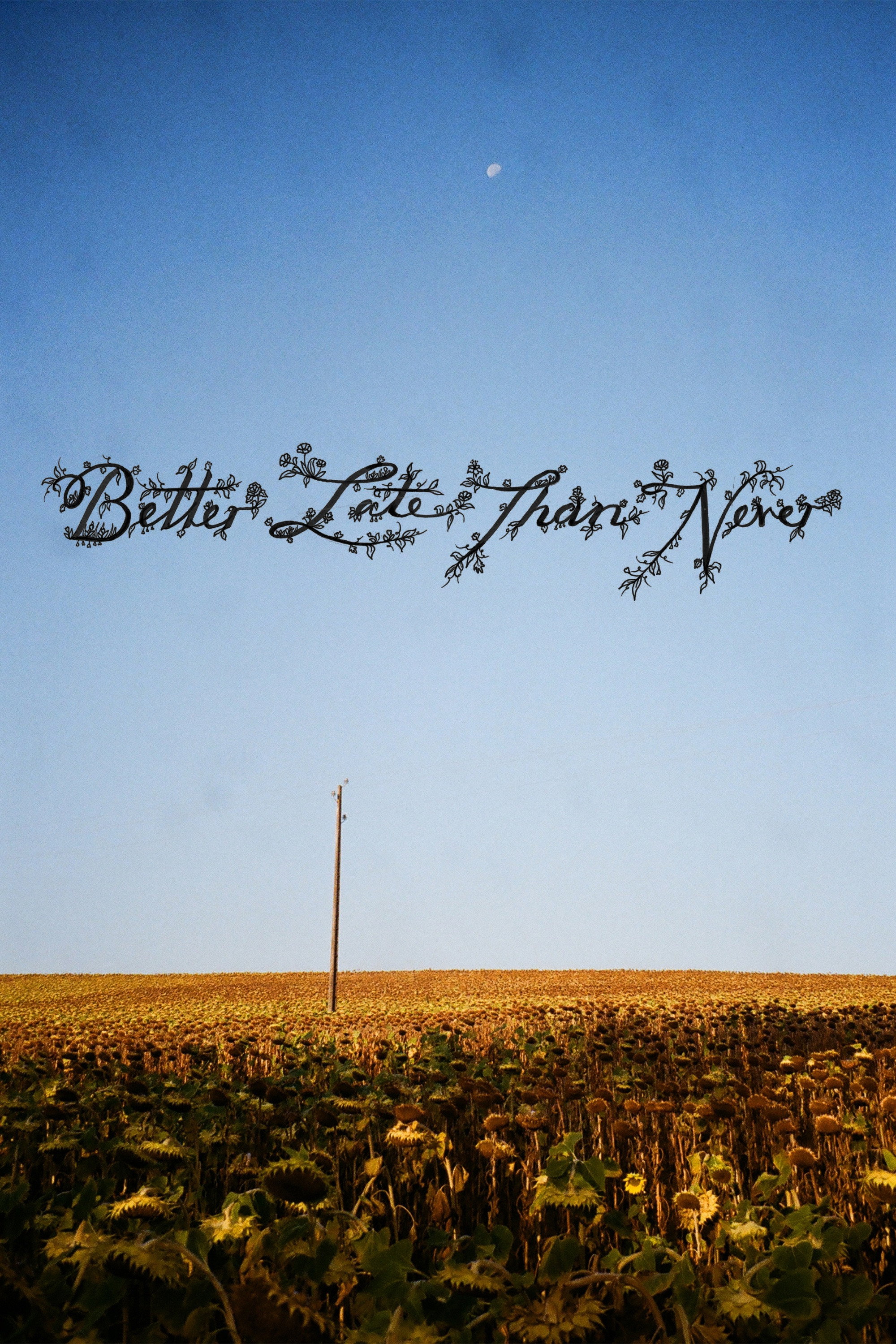 Better Late Than Never Poster