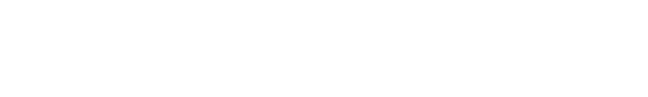 Iron Reign Logo