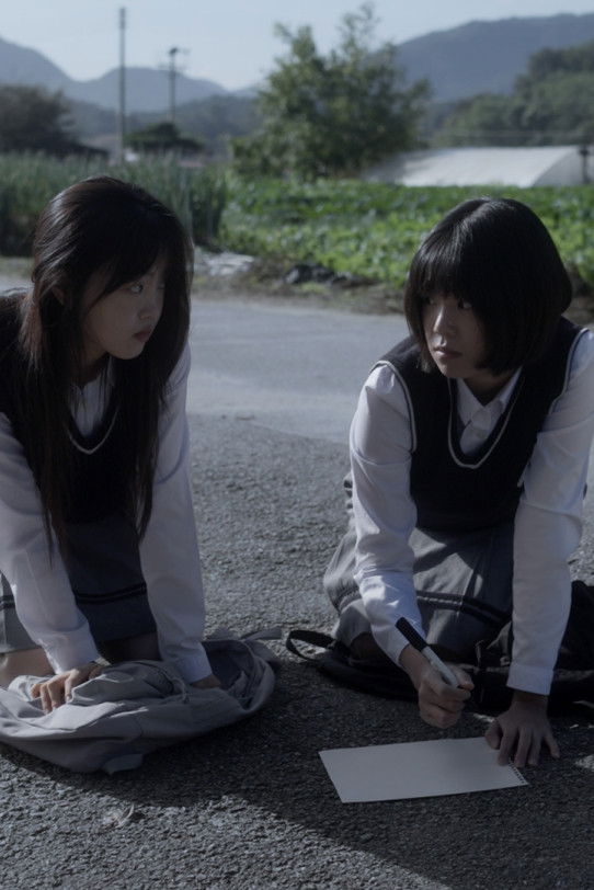 poster movie Walking the Spiral