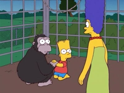 The Simpsons - Season 17 Episode 14 : Bart Has Two Mommies