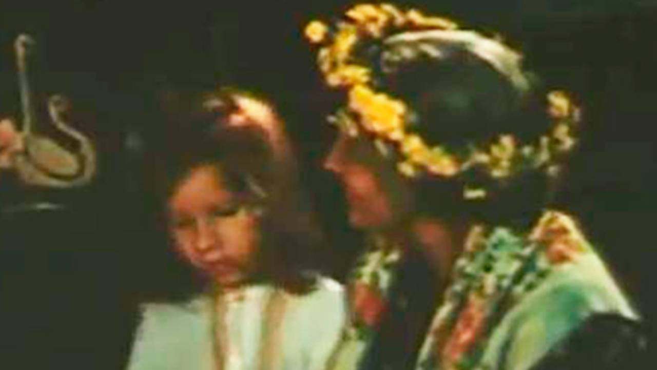 Swans in the Pond (1982)