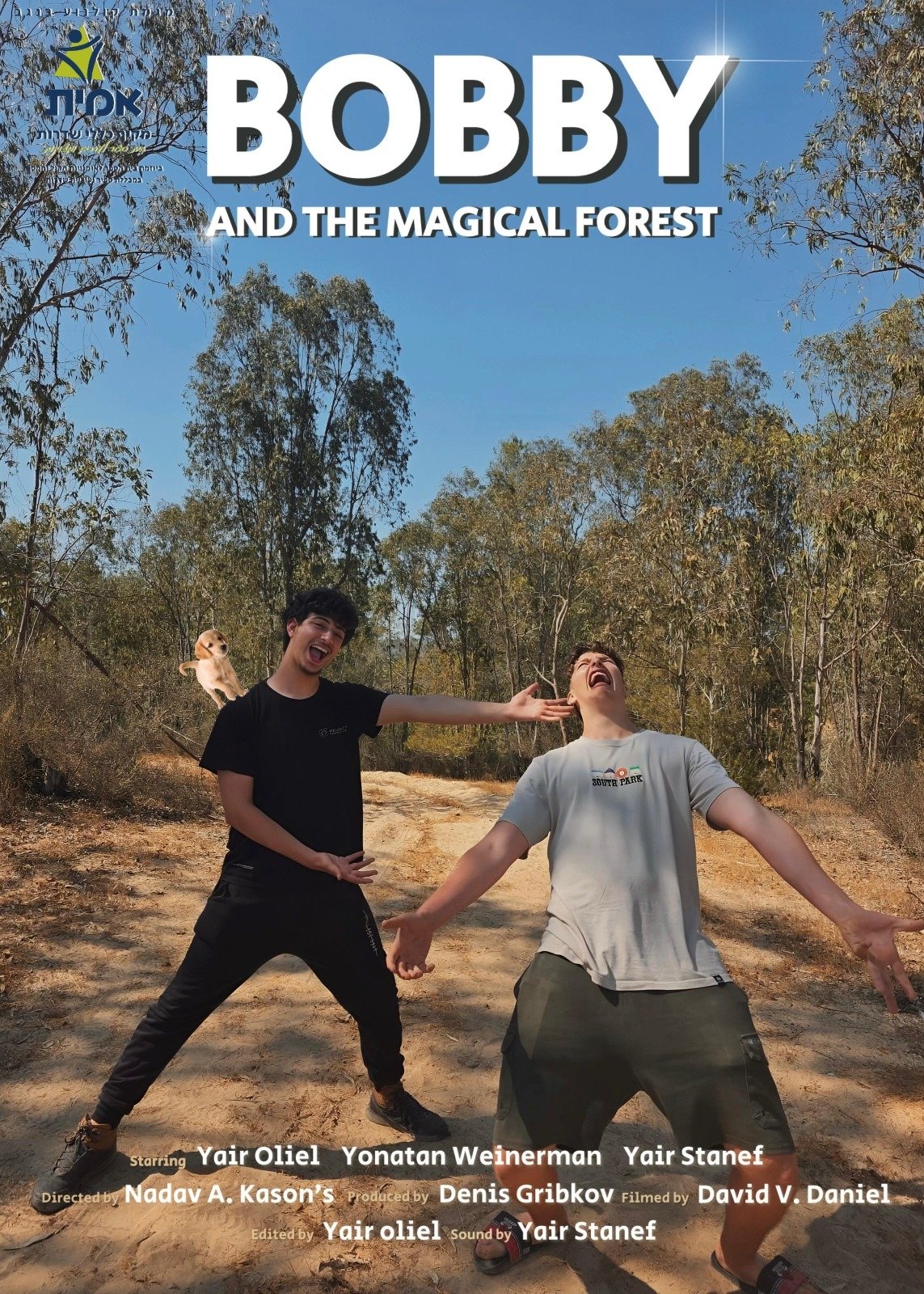 Bobby and the Magical Forest