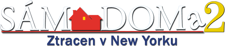 Sám doma 2: Ztracen v New Yorku