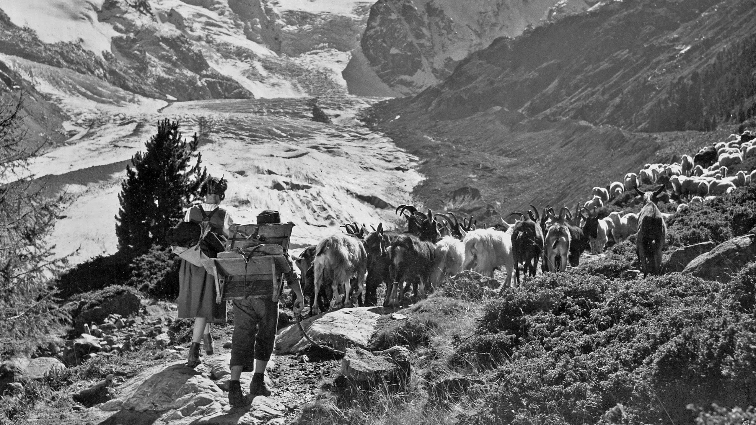 Heidi und Peter (1955)