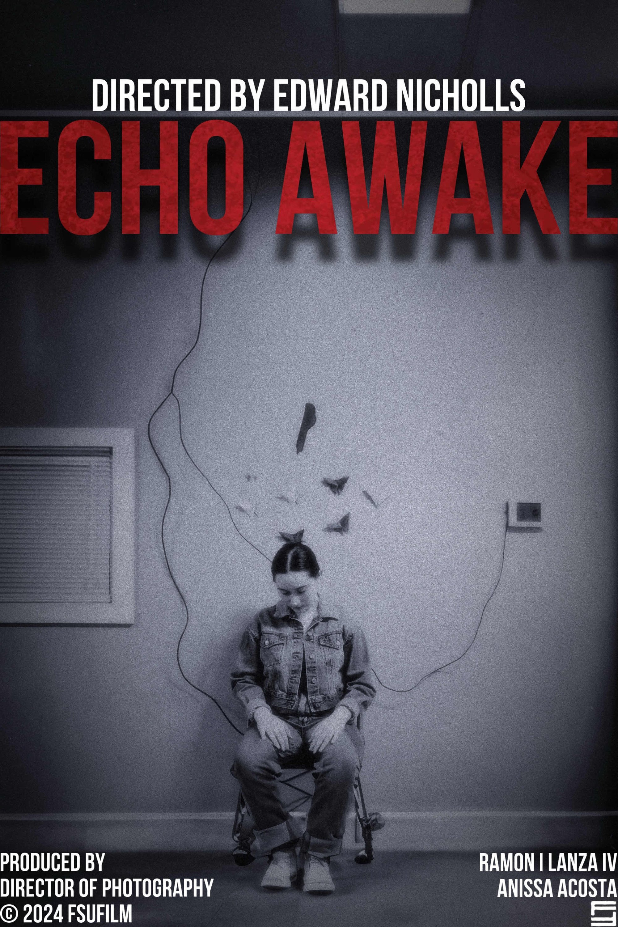 Echo Awake Echo Awake