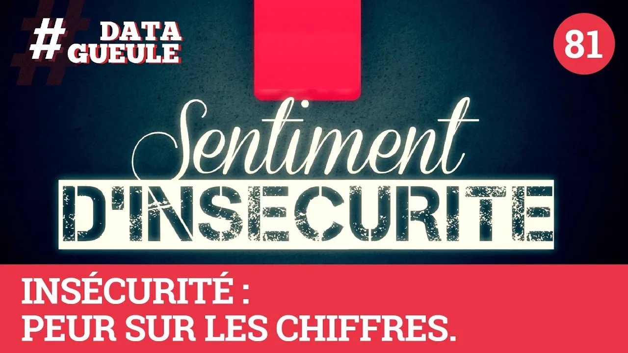 Data Gueule - Insécurité : peurs sur les chiffres