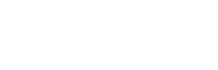 Dogtown and Z-Boys Logo
