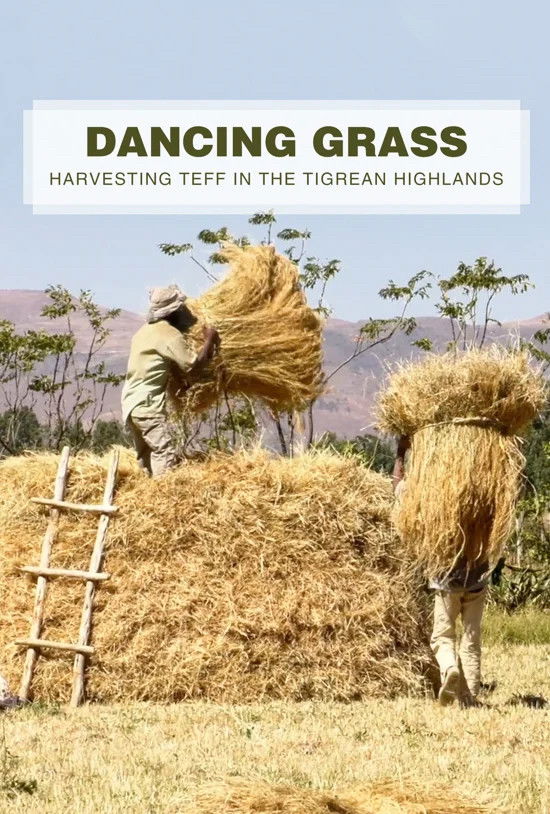 Dancing Grass: Harvesting Teff in the Tigrean Highlands Poster