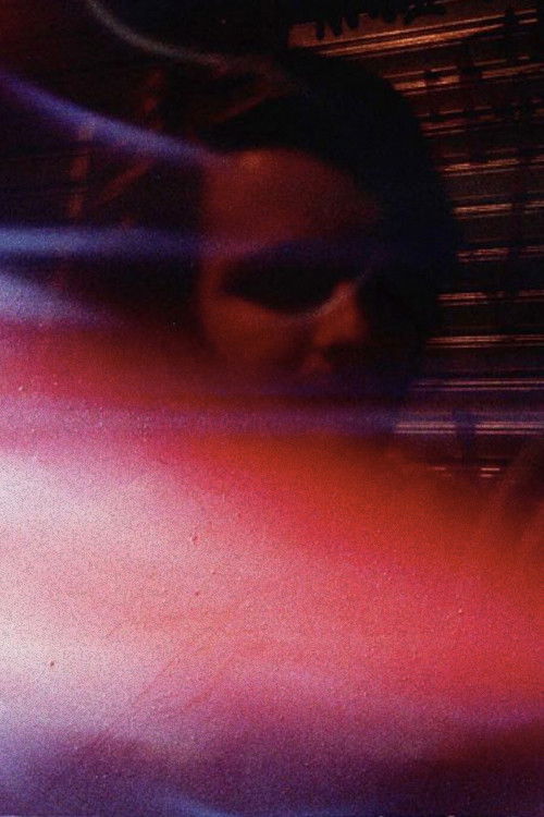 et billede af João Pedro Albuquerque