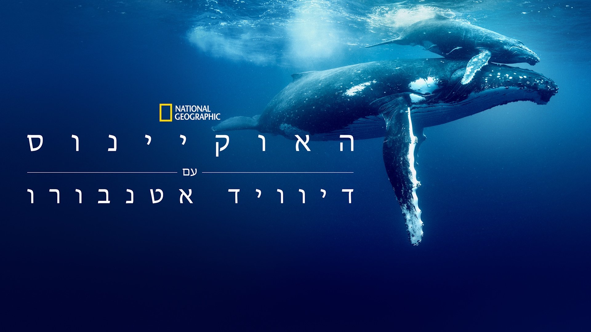 Ocean with David Attenborough backdrop