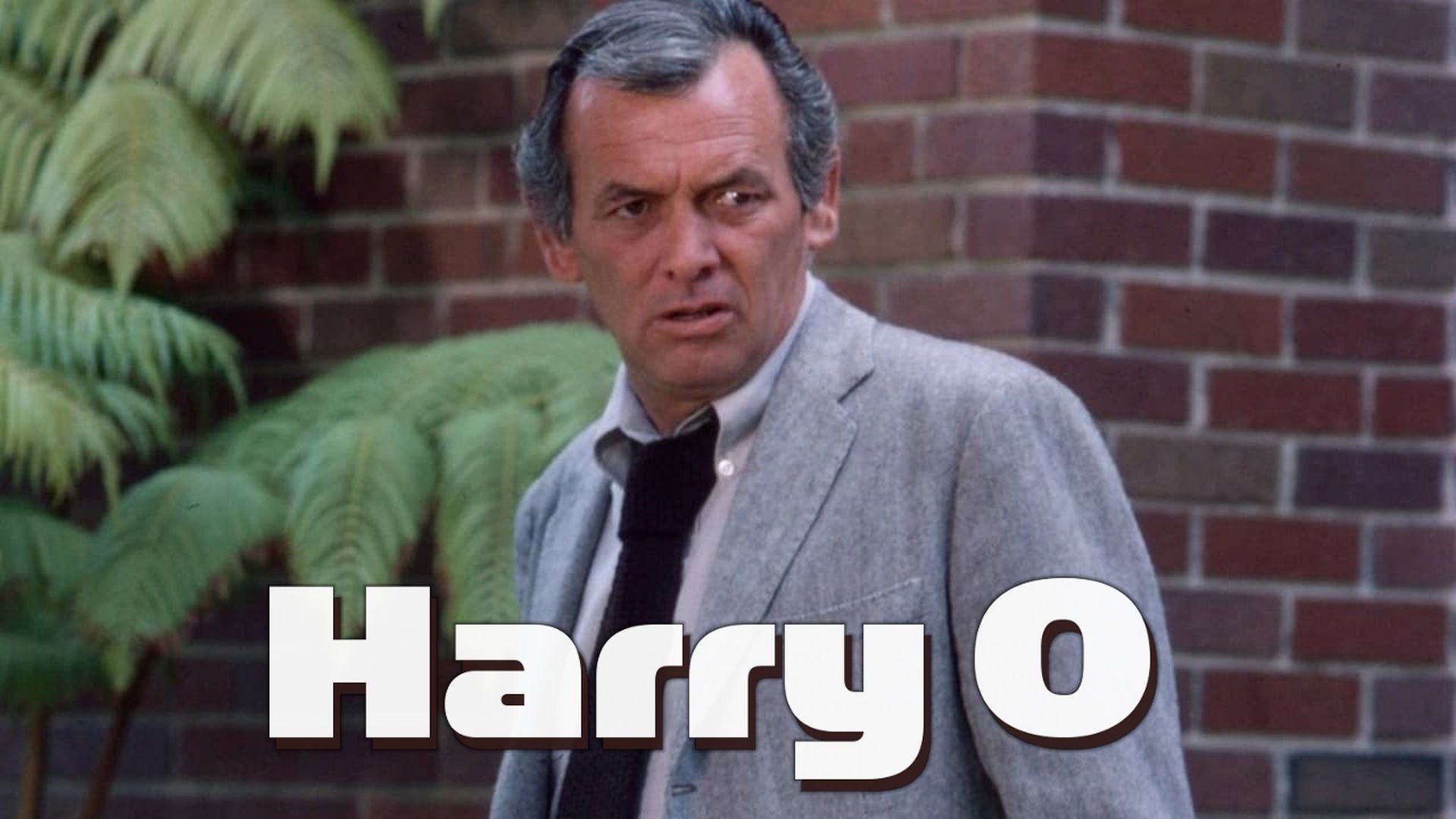 Harry O