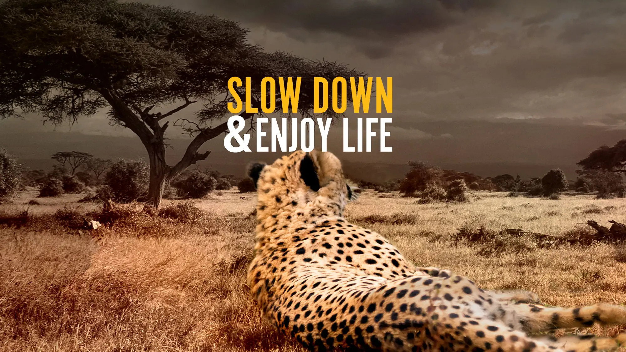 Slow Down and Enjoy Life