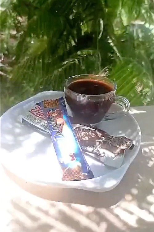 Voice Notes from Palestine