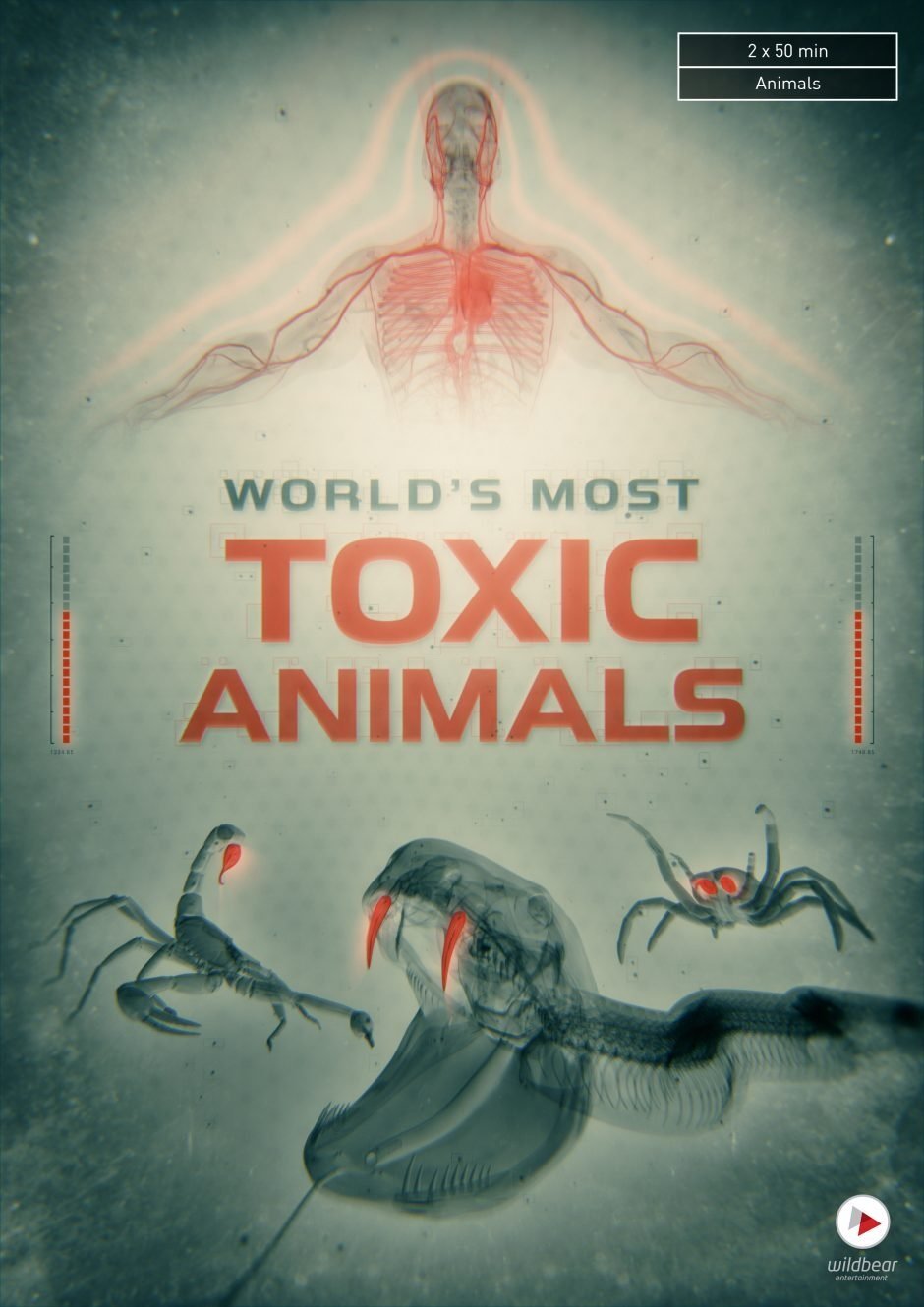 World's Most Toxic Animals (2021)