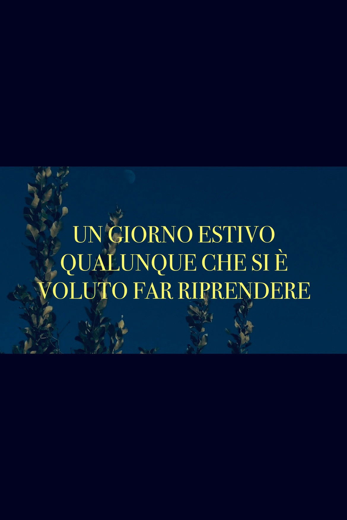 A summer day being filmed