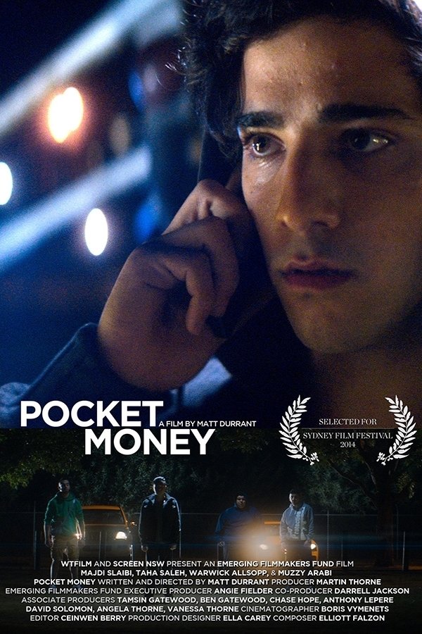 Affiche du film Pocket Money 14096