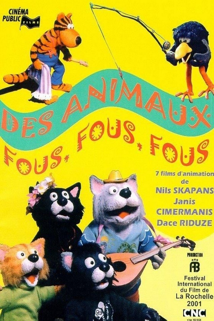 Content cover