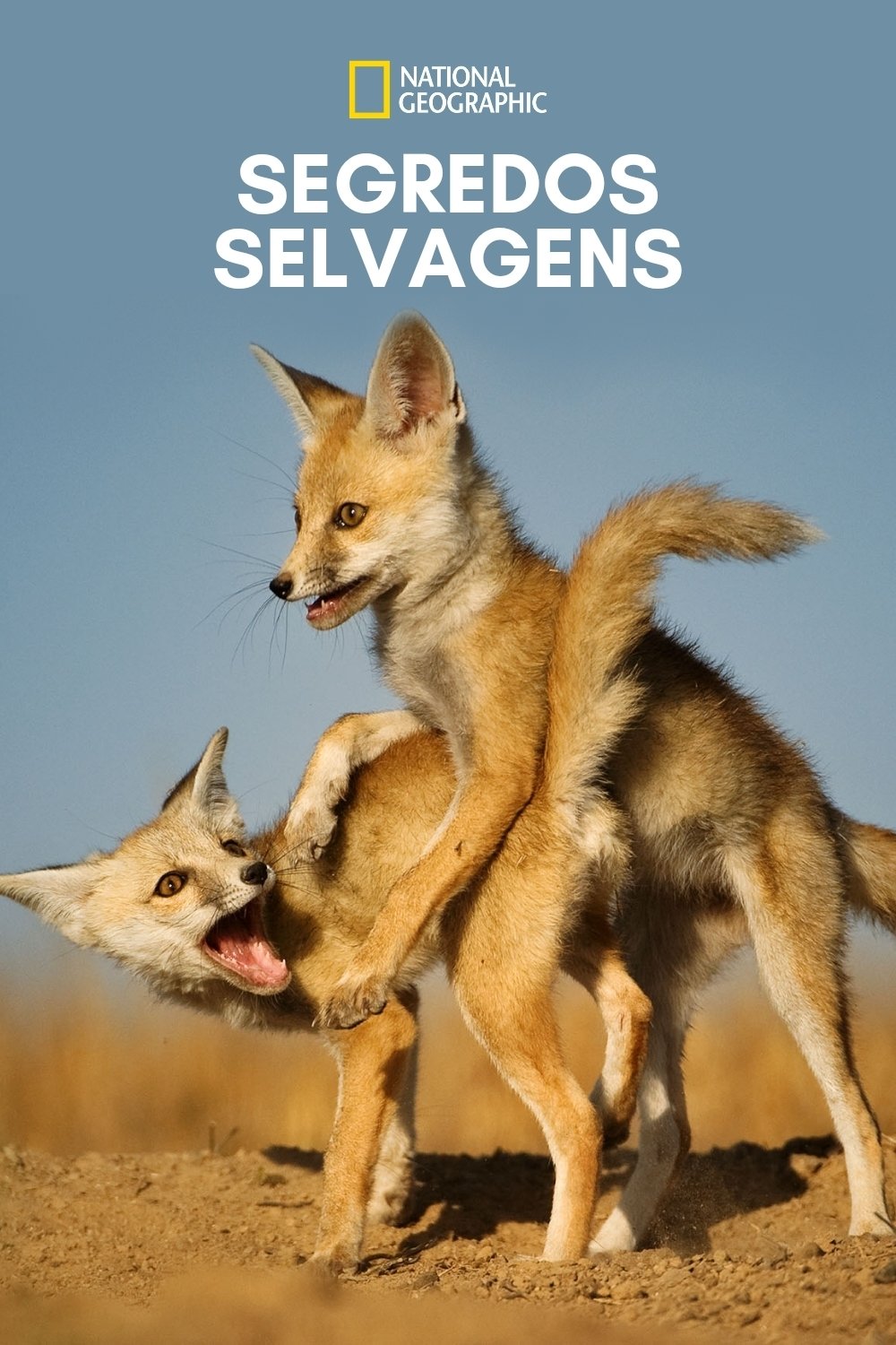 Segredos Selvagens