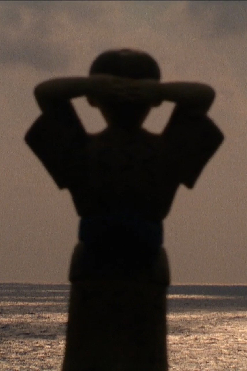The Summer I was Four (1991) Poster
