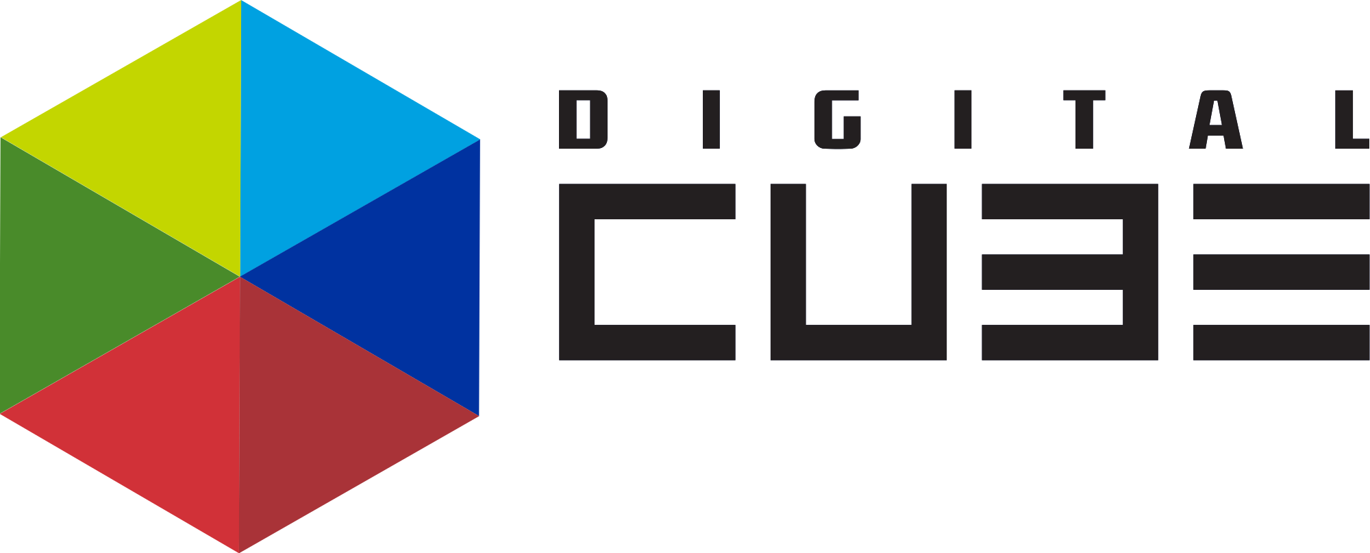 Logo de la société Digital Cube 4893
