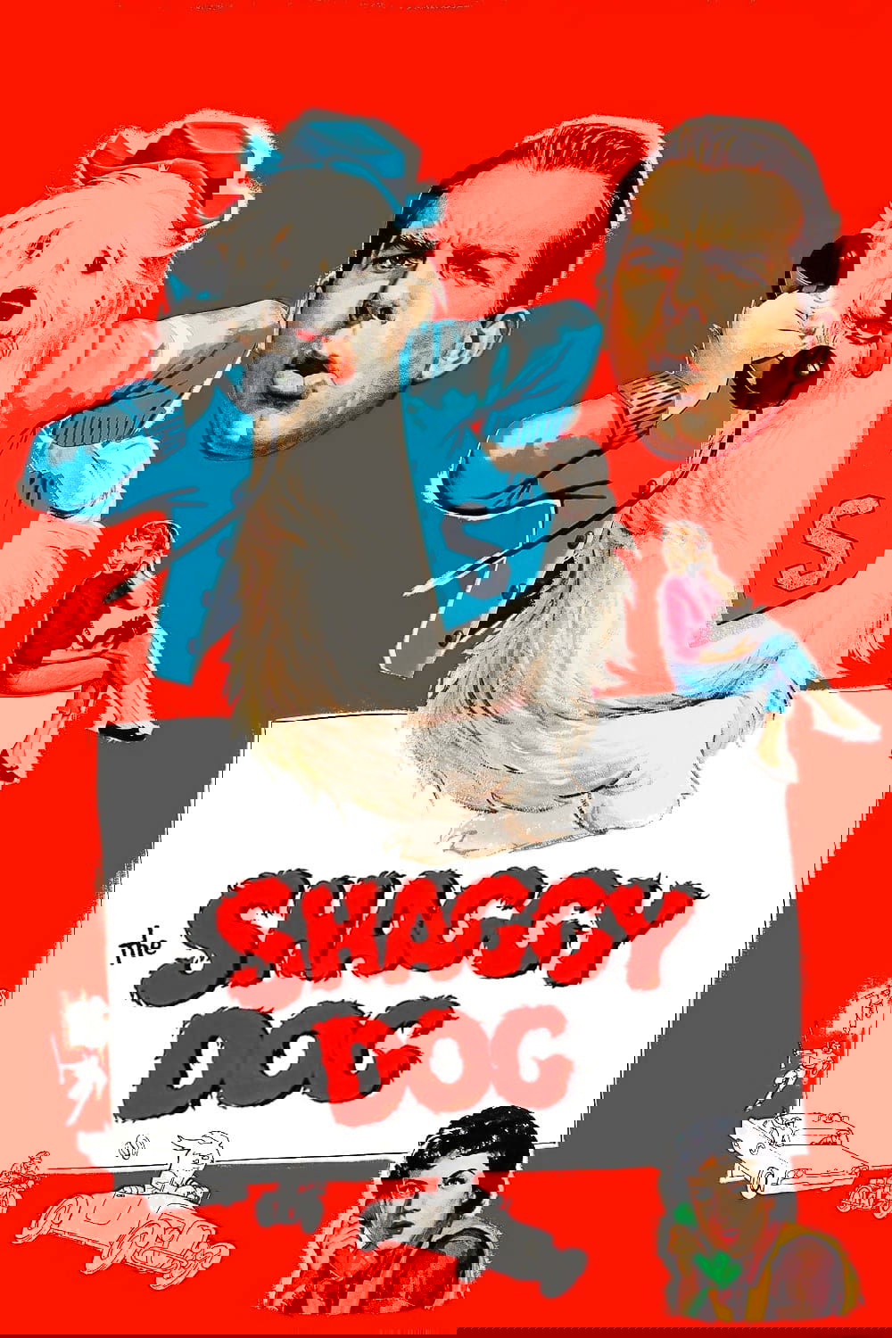 The Shaggy Dog
