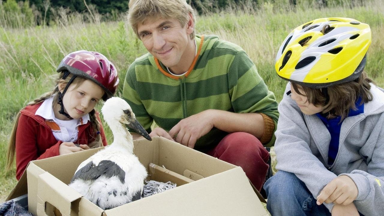 Löwenzahn Staffel 28 :Folge 6 