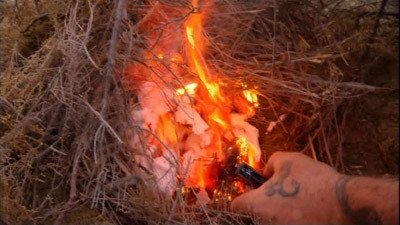 Dual Survival