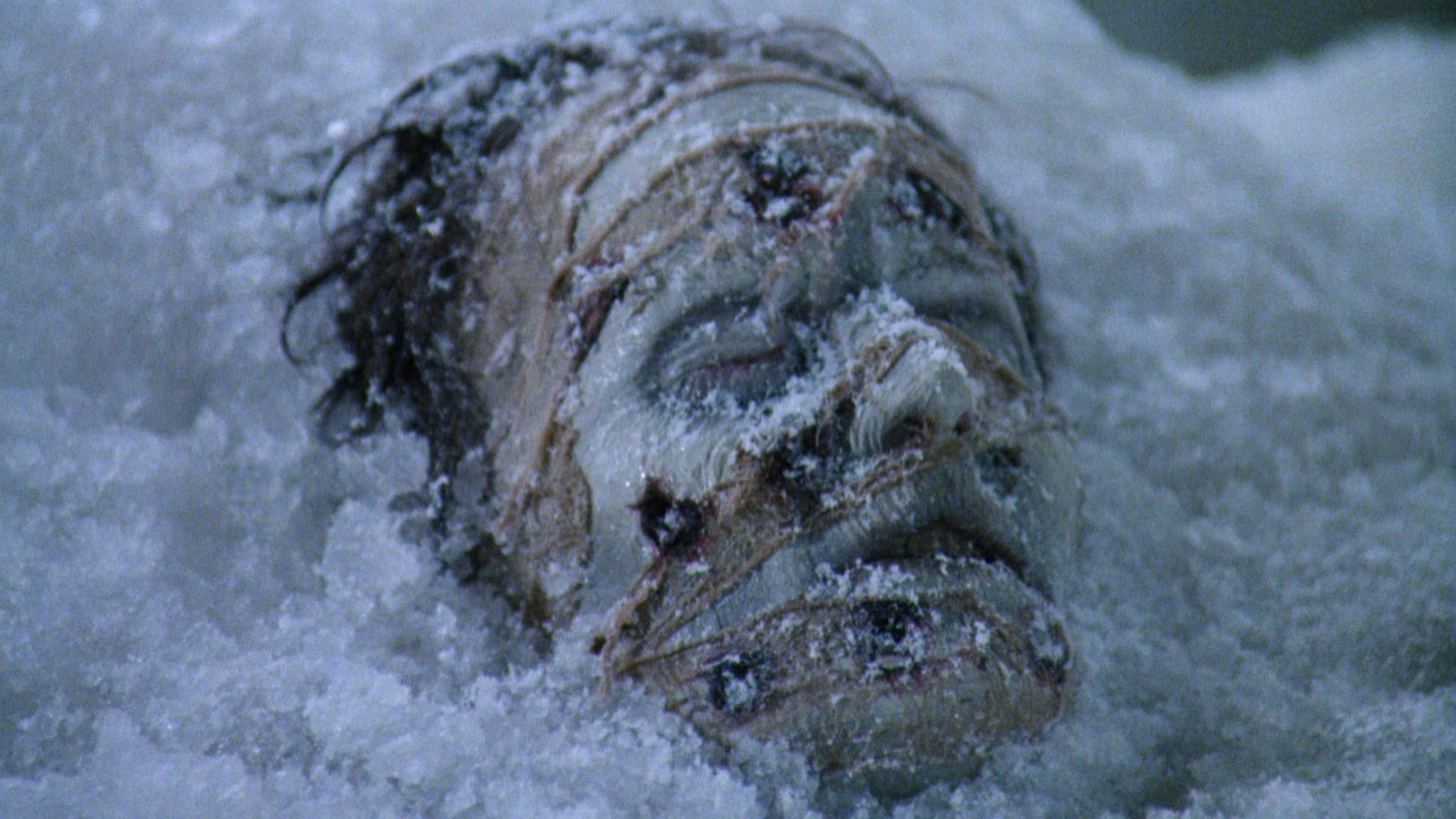 The Mask of Satan (1990)