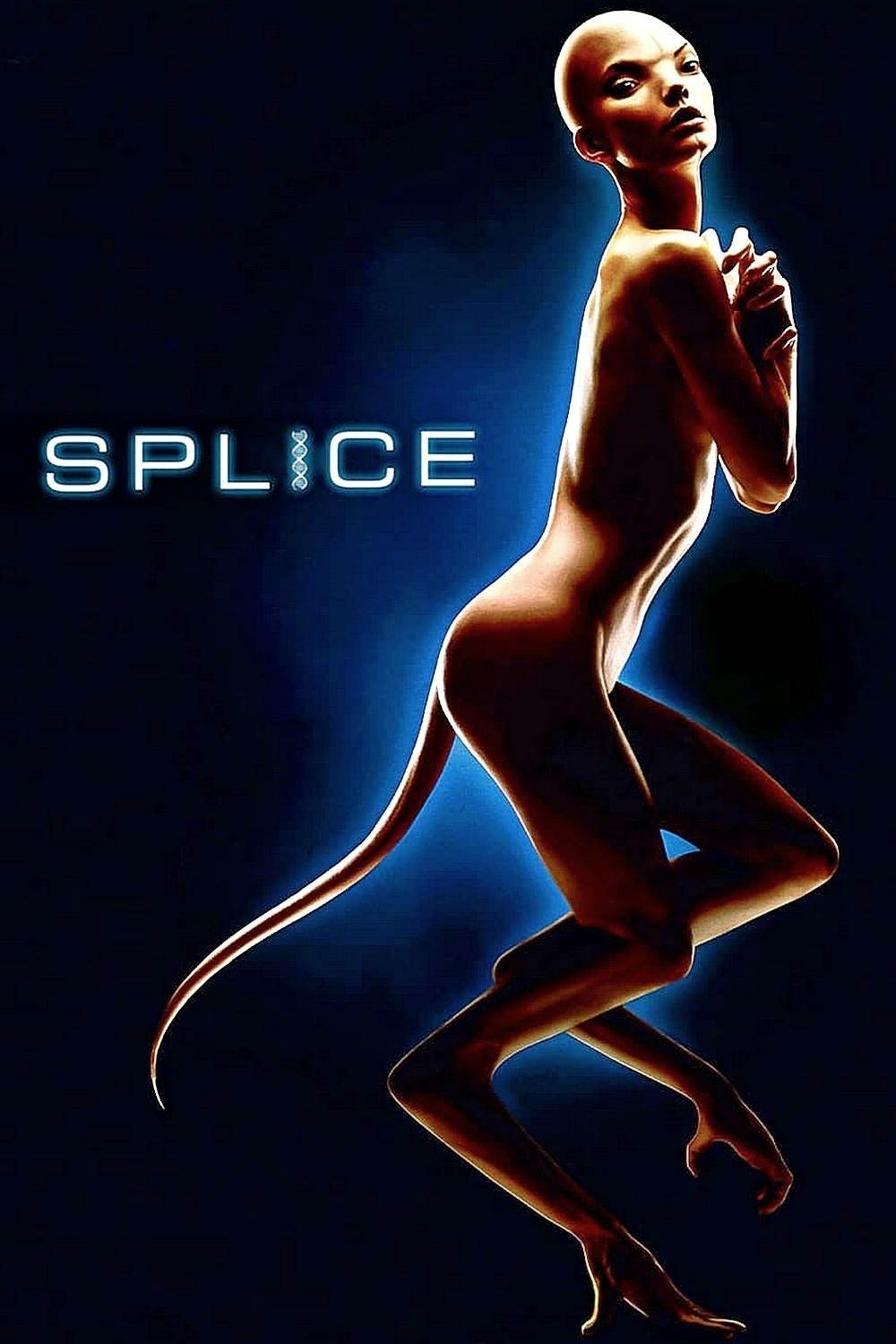Splice
