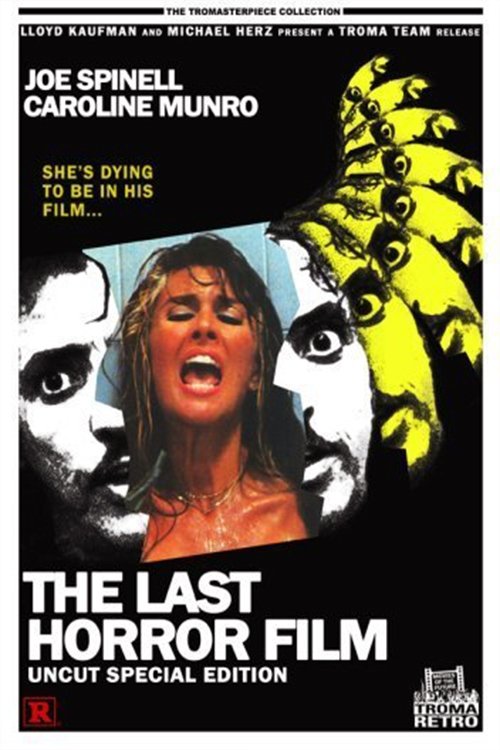 The Last Horror Film