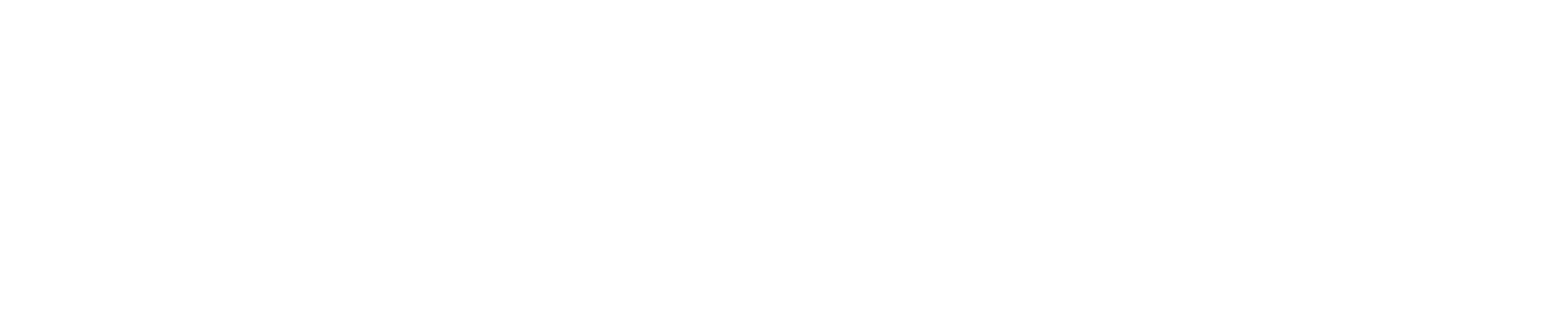 Bill Cunningham New York Logo